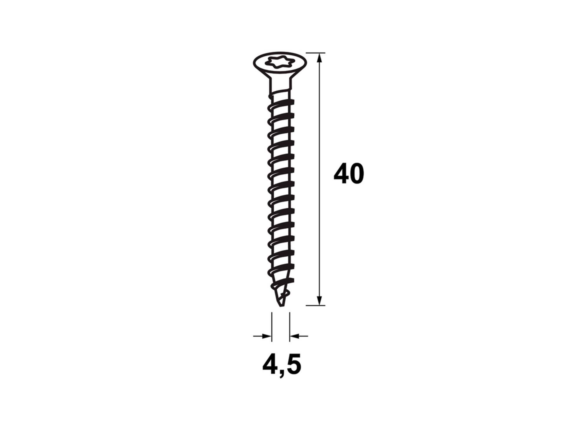 Axa Schroeven torx staal 8 stuks 4,5X40 MM