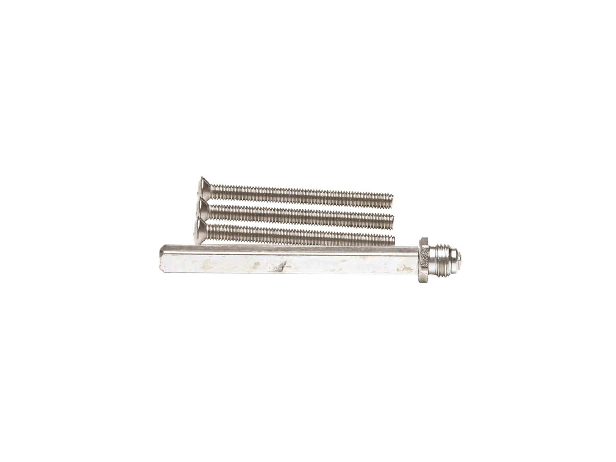 AXA Wisselstift en montagebouten TBV CURVE M6X70