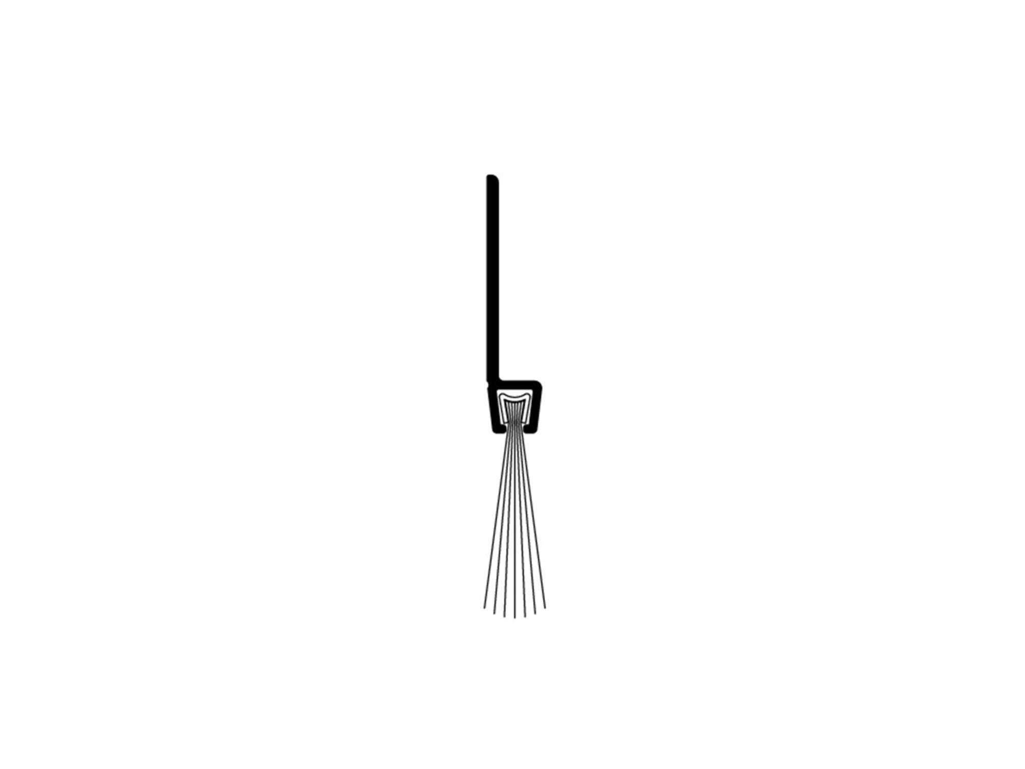 Ellen Tochtborstel met haar IBS-70 300 300 CM