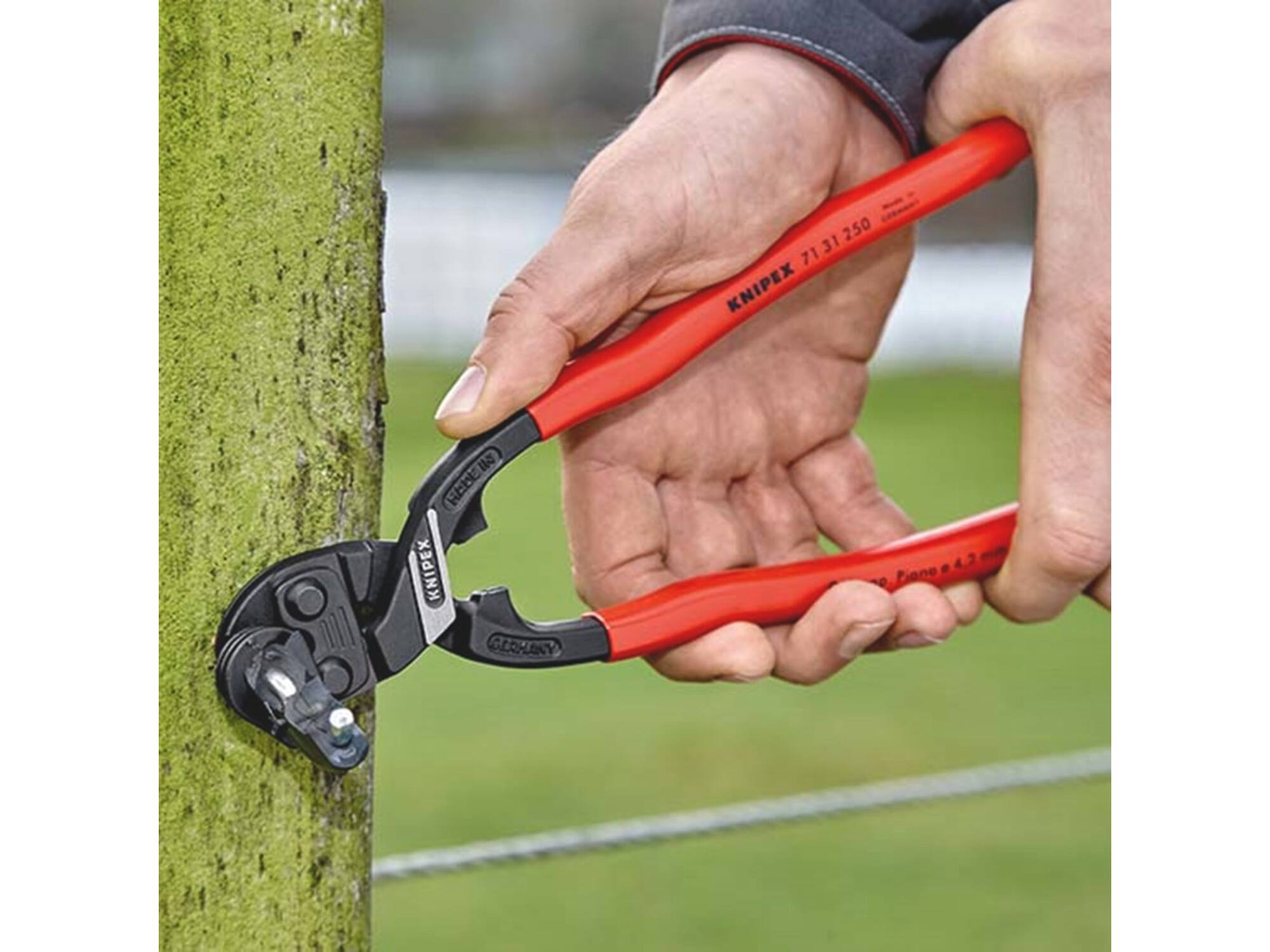 KNIPEX Boutenschaar Cobolt XL 71 31 250 250 MM