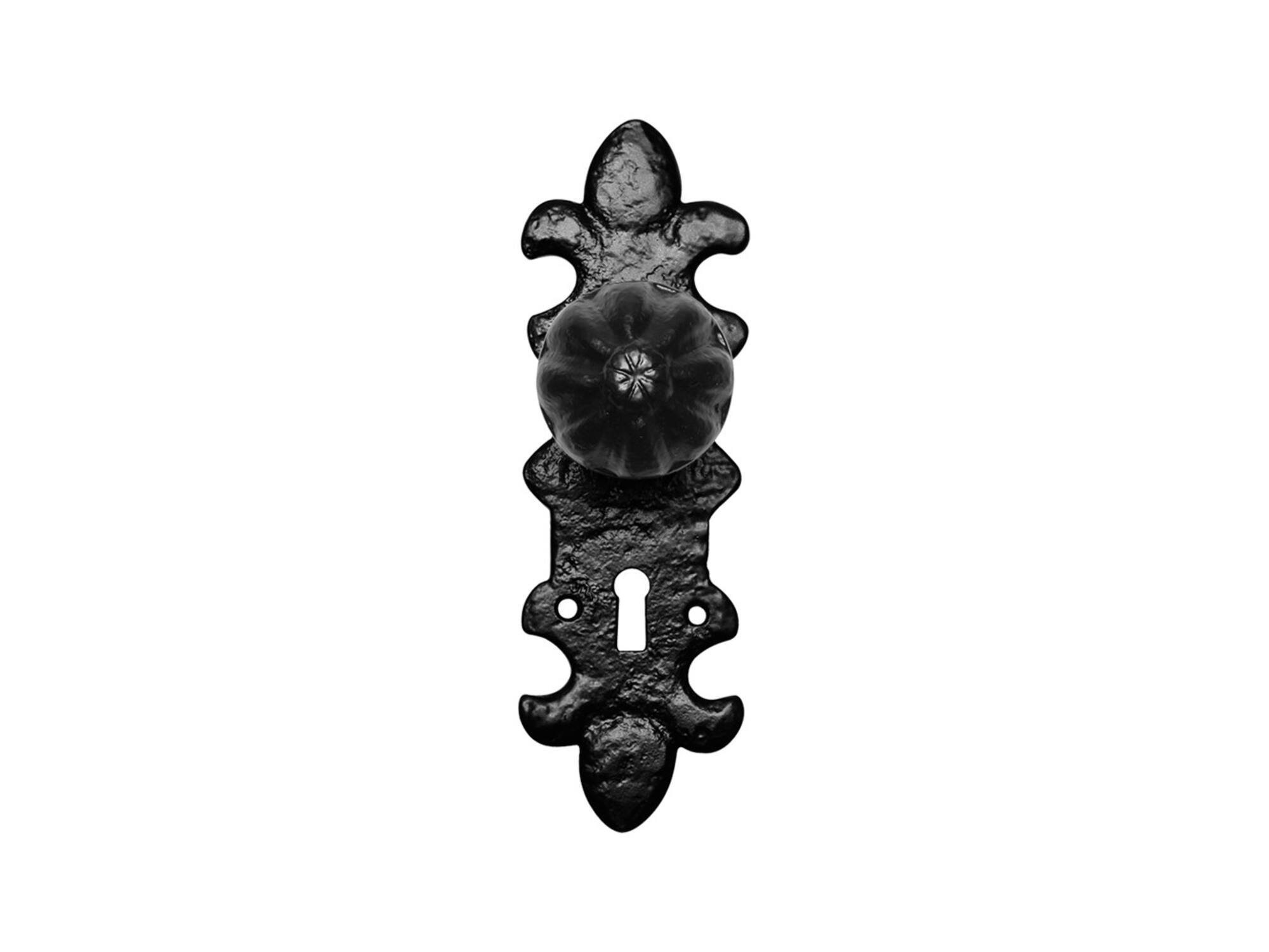 Kirkpatric Knop 50mm op schild 203x66mm PC55 KP1211