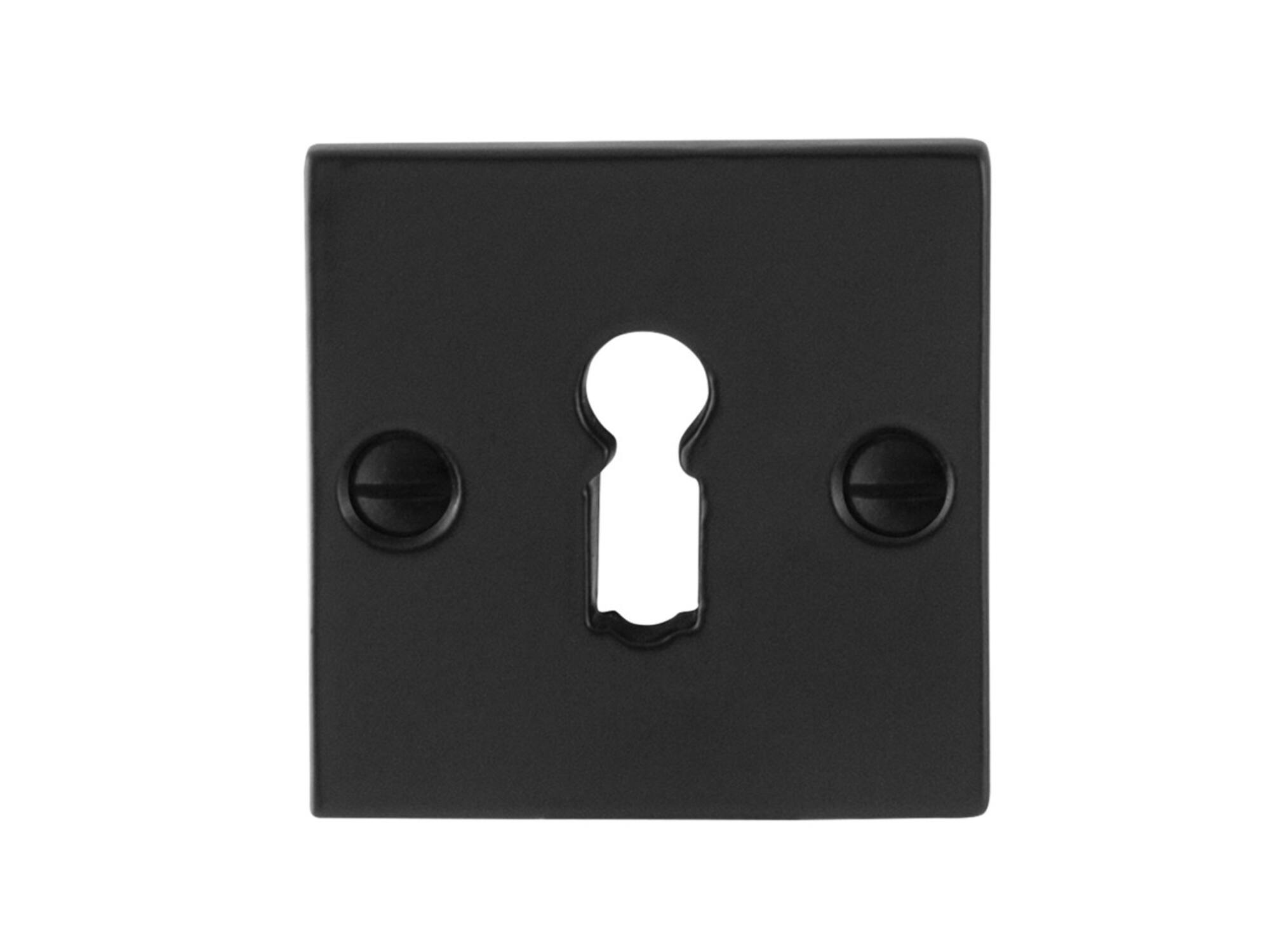GPF Smeedijzer sl.rozet vierk. GPF 6901.08