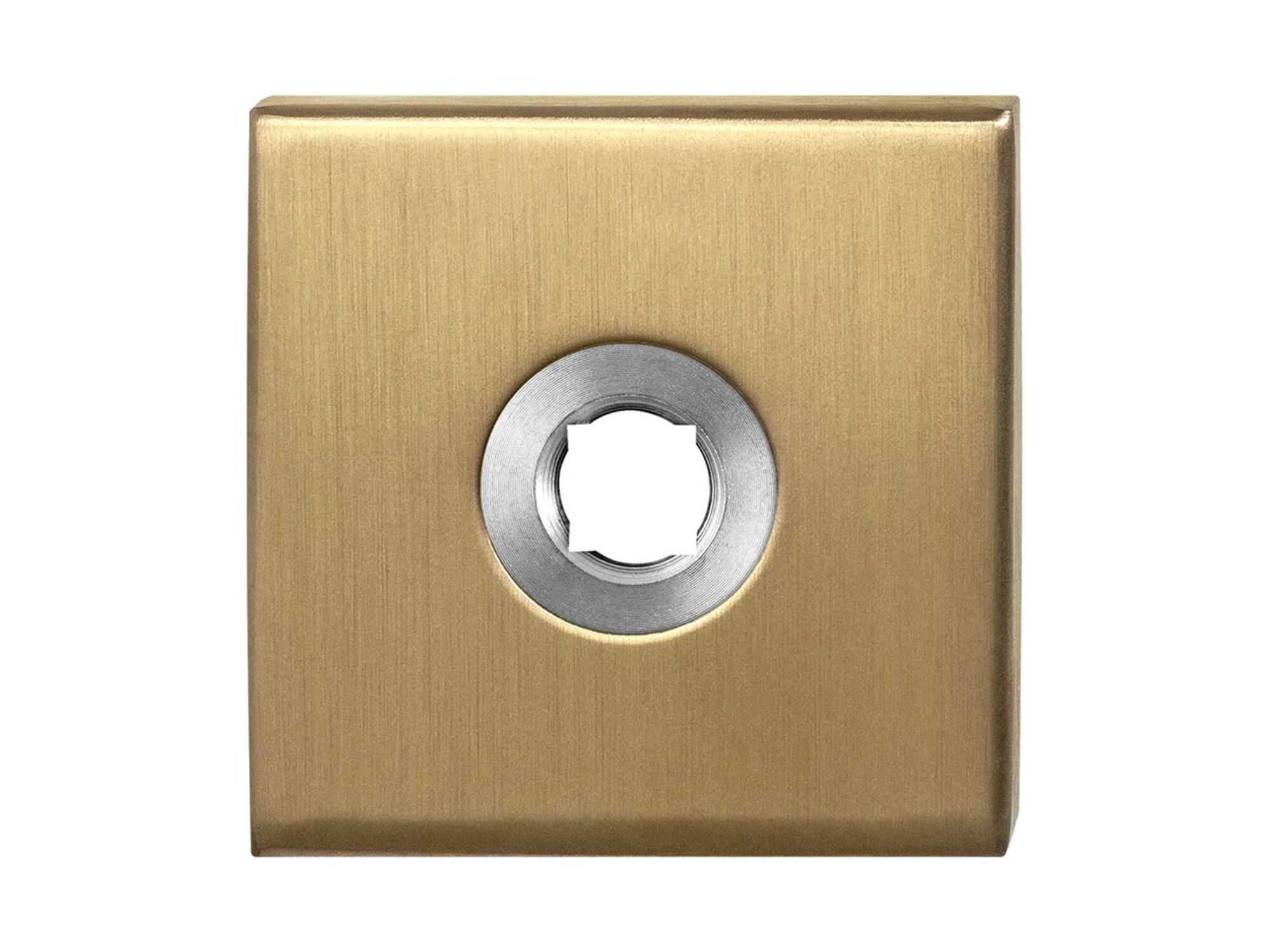 GPF Vierkante click rozet 50x50x8mm 1100.02P4