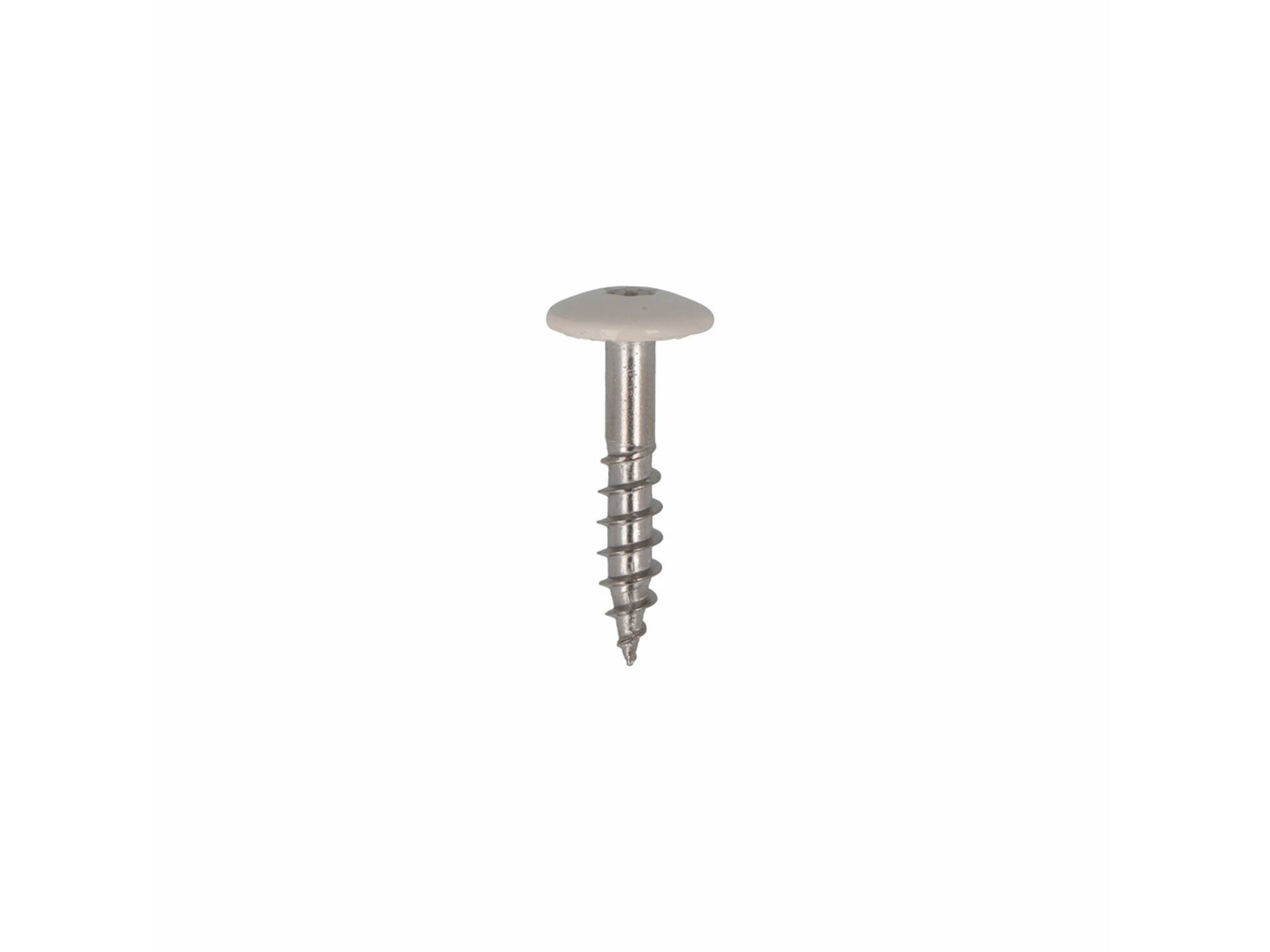 Dak&Gevel Kleurkopschroef RVS A2 Beige RAL1013 - 50ST. 4,8x25MM