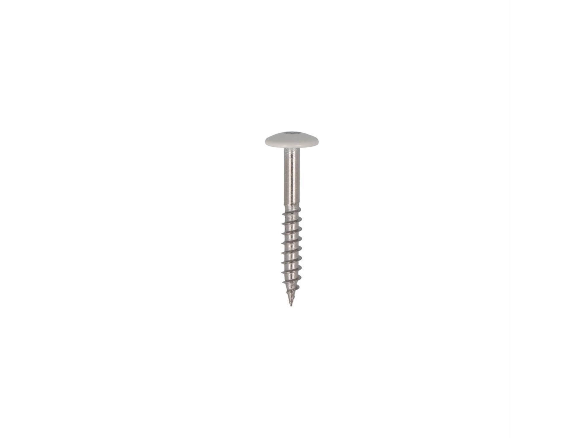 Dak&Gevel Kleurkopschroef RVS A2 Wit RAL9010 - 50ST. 4,8x25MM