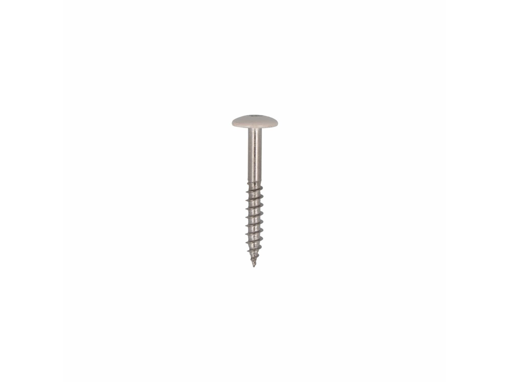 Dak&Gevel Kleurkopschroef RVS A2 Cremewit RAL9001 - 50ST. 4,8x38MM