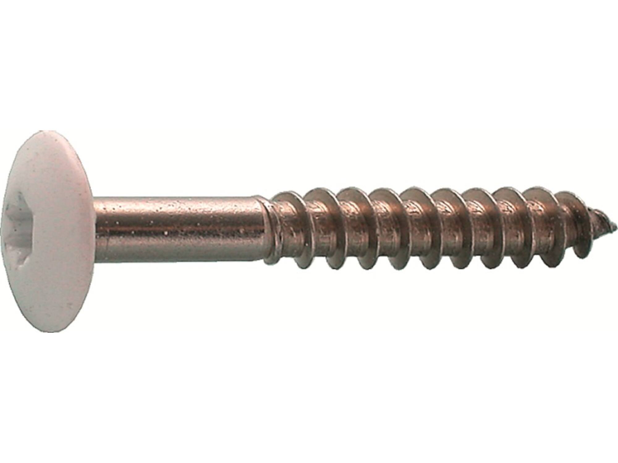 Kelfort Trespaschroef RVS A2 RAL 9010 4.8X32 100st