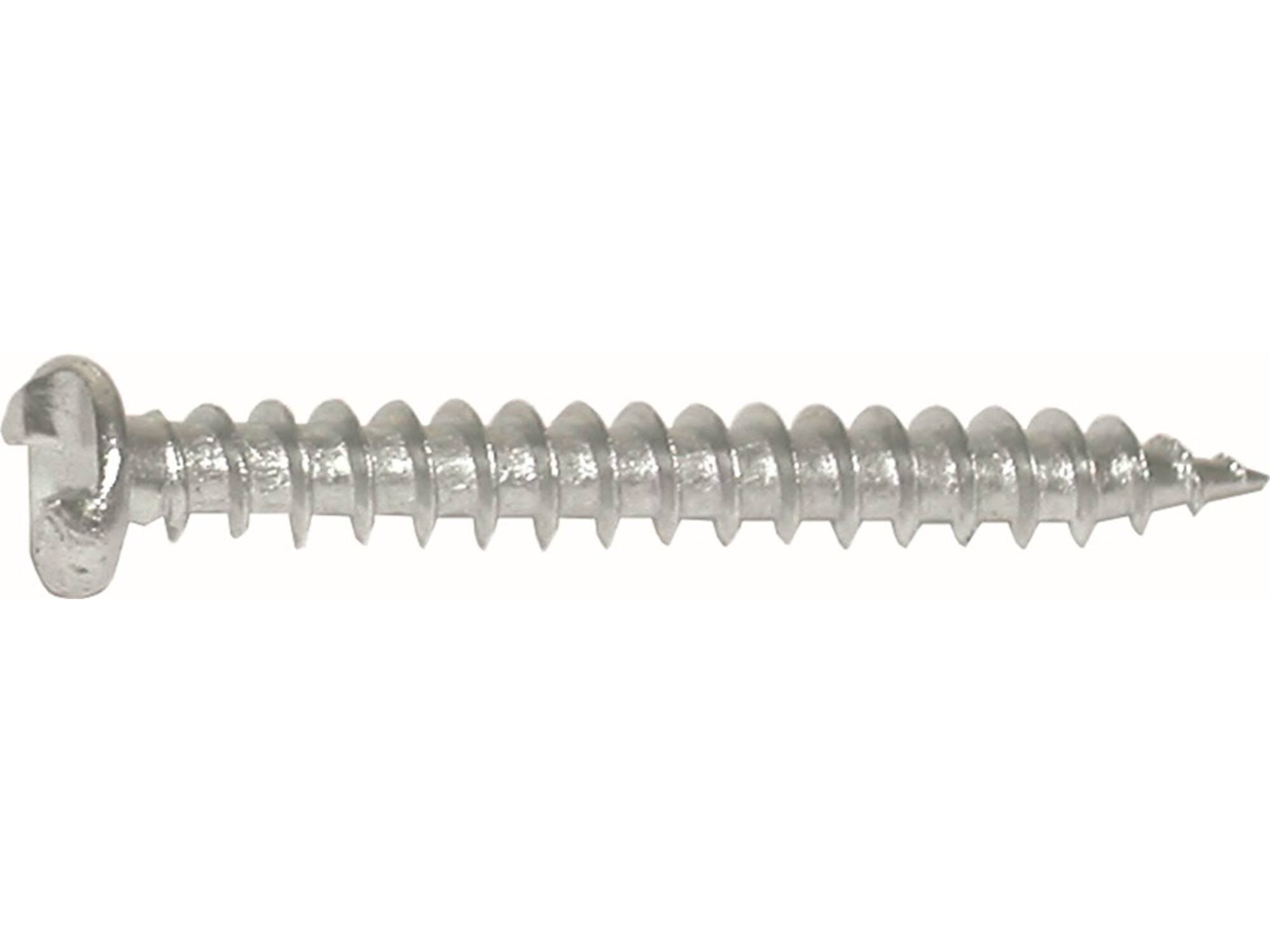 Kelfort Anti-Inbraak schroef RVS zelftappend 4.2X19 100st