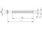 Heco Multi-monti anker zeskant met ring MMS-PLUS SS 12X80 25 stuks