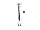 Axa Schroeven torx staal 8 stuks 4,5X40 MM