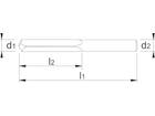Phantom Profielcilinderbreker 41.690 / 1 stuks 6X60MM