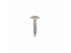 Dak&Gevel Kleurkopschroef RVS A2 Beige RAL1013 - 50ST. 4,8x25MM