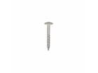 Dak&Gevel Kleurkopschroef RVS A2 Beige RAL1013 - 50ST. 4,8x38MM