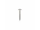 Dak&Gevel Kleurkopschroef RVS A2 Wit RAL9010 - 50ST. 4,8x38MM