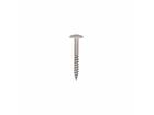 Dak&Gevel Kleurkopschroef RVS A2 Cremewit RAL9001 - 50ST. 4,8x38MM