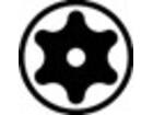 P-Torx-TR.jpg