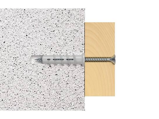 Fischer Cellenbetonanker FTP K6 6 MM 25st