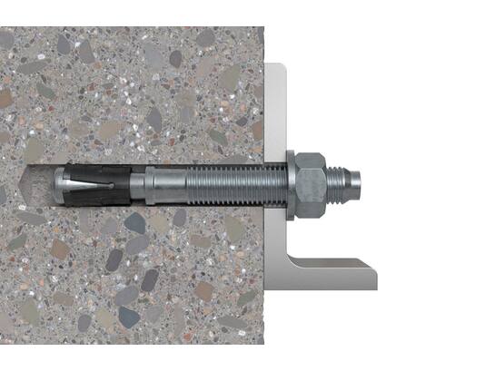 Fischer Doorsteekanker staal verzinkt FAZ II Plus 8/100 8x165MM