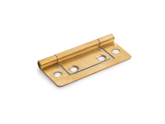 DX Louvredeurscharnier vermessingd lds 501b 50X24 MM
