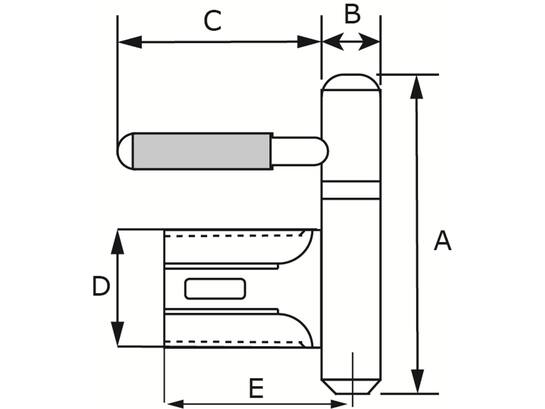 DX Inboorpaumelle staal satijn verchroomd hpl148150mp-6 14 MM