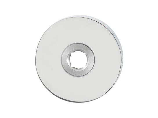 GPF Rvs pol ronde rozet 50x6mm GPF 1100.45R