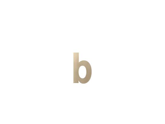 GPF Letter B/ 156 mm Champagne blend