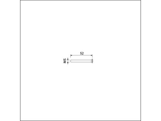 Ami Patentschroef RVS M5X52