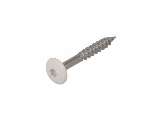 Dak&Gevel Kleurkopschroef RVS A2 Wit RAL9010 - 50ST. 4,8x25MM