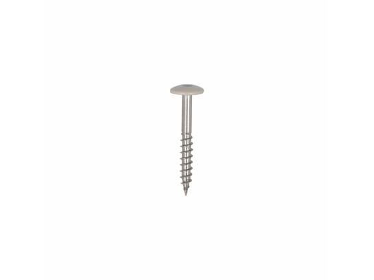 Dak&Gevel Kleurkopschroef RVS A2 Beige RAL1013 - 50ST. 4,8x38MM