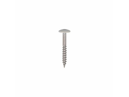 Dak&Gevel Kleurkopschroef RVS A2 Wit RAL9010 - 50ST. 4,8x38MM