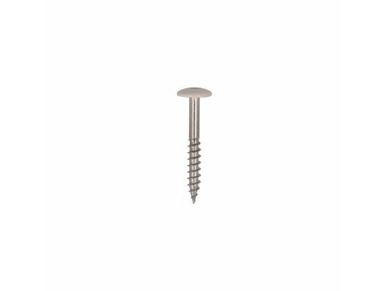 Dak&Gevel Kleurkopschroef RVS A2 Cremewit RAL9001 - 50ST. 4,8x38MM