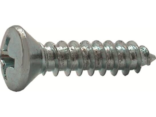 Kelfort Plaatschroef lenskop verzinkt DIN 7983CH 6.3X45 200st