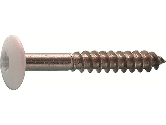 Kelfort Trespaschroef RVS A2 RAL 9010 4.8X32 100st