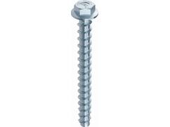 Heco Multi-monti anker zeskant met ring MMS-PLUS SS 6X60 100 stuks