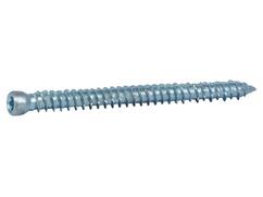 Kelfort Kozijnschroef cilinderkop Verzinkt TX-30 7.5x92