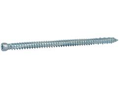 Kelfort Kozijnschroef cilinderkop Verzinkt TX-30 7.5x152