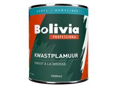 Bolivia Aqua kwastplamuur 1 KG