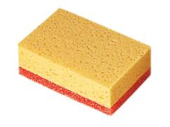 Schuurspons