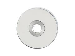 GPF Rvs pol ronde rozet 50x6mm GPF 1100.45R