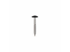 Dak&Gevel Kleurkopschroef RVS A2 Zwart RAL9005 - 50ST. 4,8x38MM