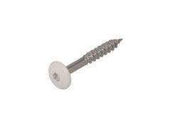 Dak&Gevel Kleurkopschroef RVS A2 Wit RAL9010 - 50ST. 4,8x38MM