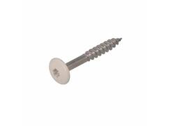 Dak&Gevel Kleurkopschroef RVS A2 Cremewit RAL9001 - 50ST. 4,8x38MM