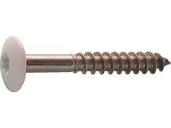 Kelfort Trespaschroef RVS A2 RAL 9010 4.8X32 100st